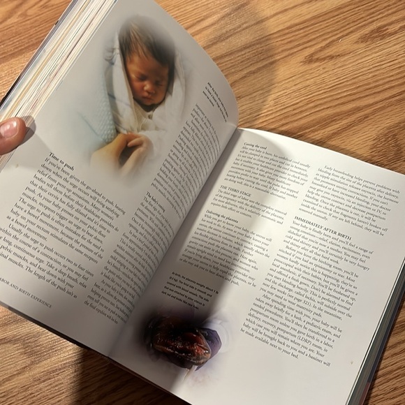 The pregnancy Bible - Picture 3 of 4